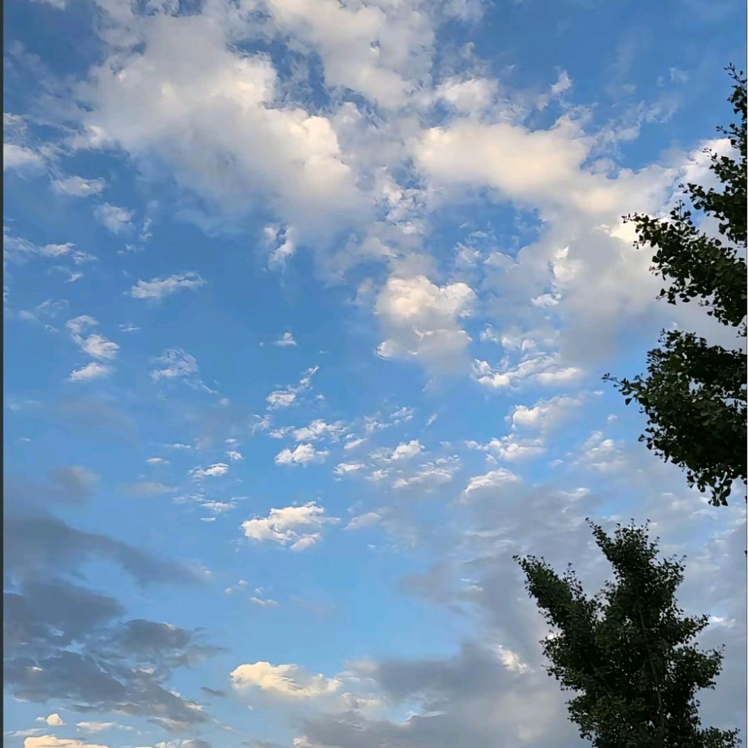 所爱隔山（拒绝私聊）