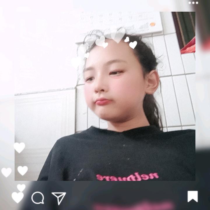 猫猫家族