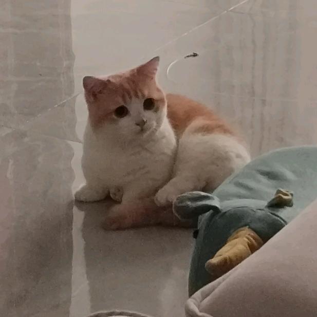宋温暖
