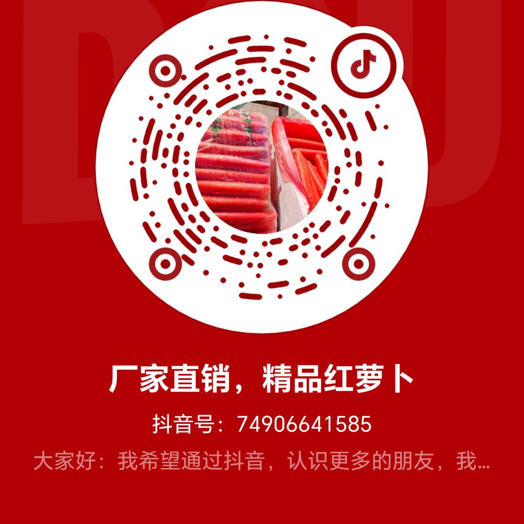 厂家直销，精品红萝卜