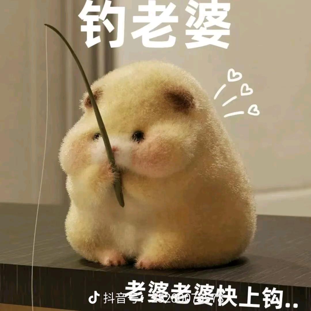 红尘中迷失方向的浪子一枚