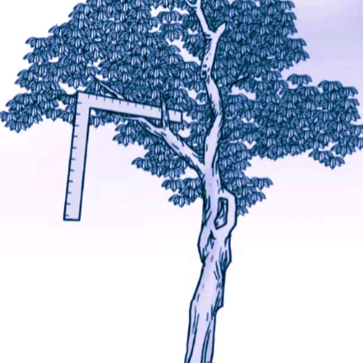 袁天罡与狄仁杰