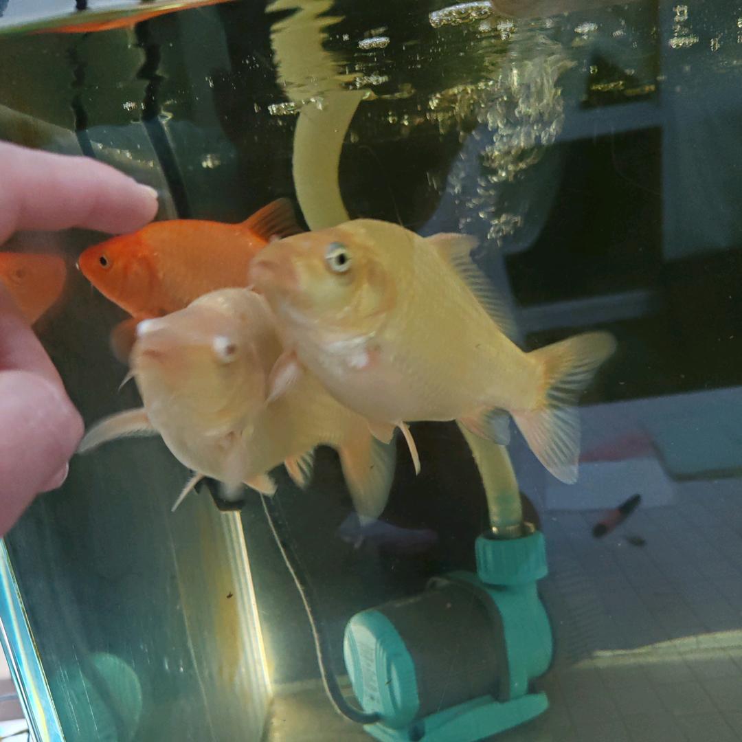 好运相伴，幸福相随