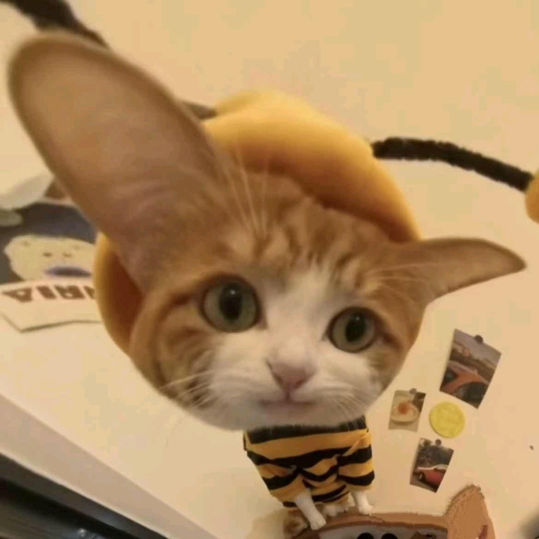 ╯、不羈放蕩ゝ