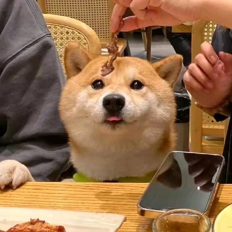北冥有鱼