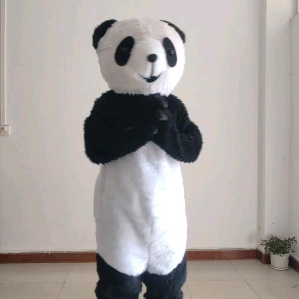 运动新奇