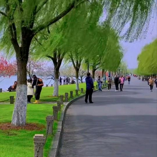 象风一样自由
