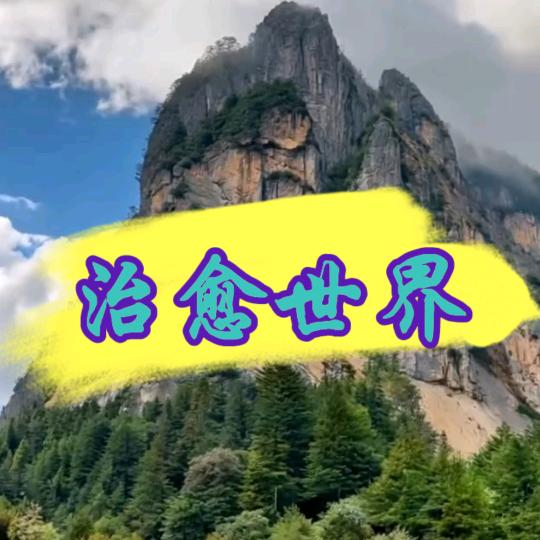 治愈世界