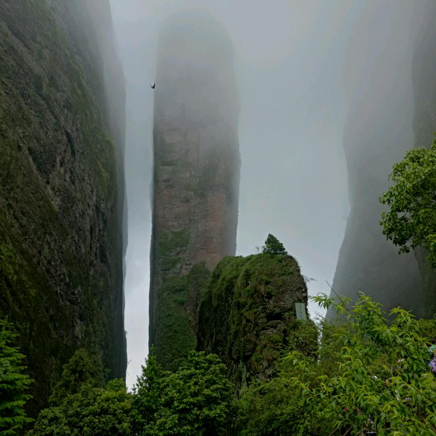 Zeng 先生