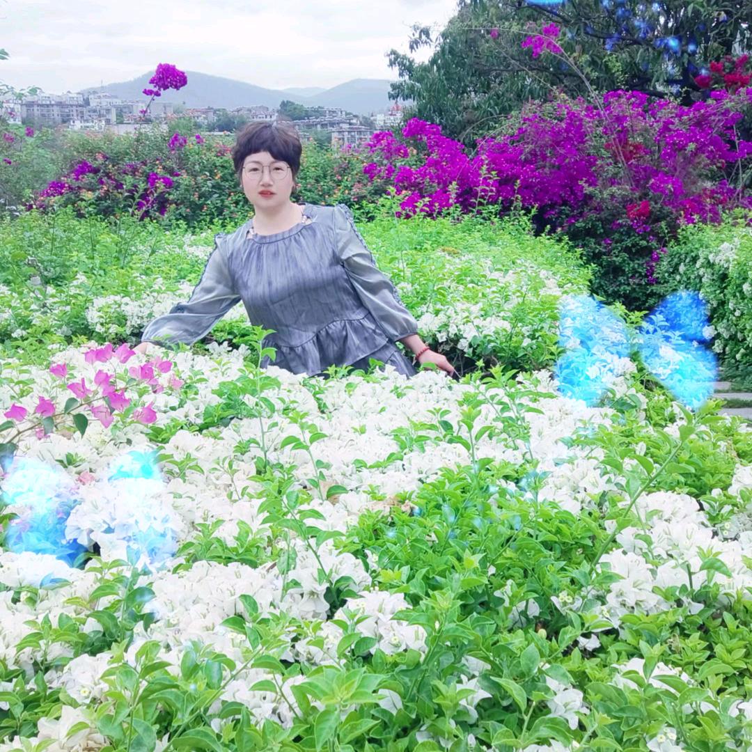火红攀枝花