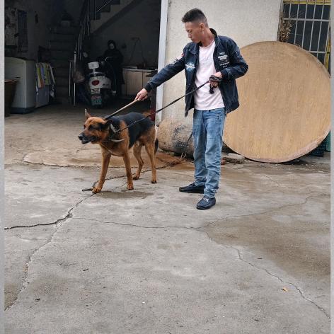 请叫我龙哥