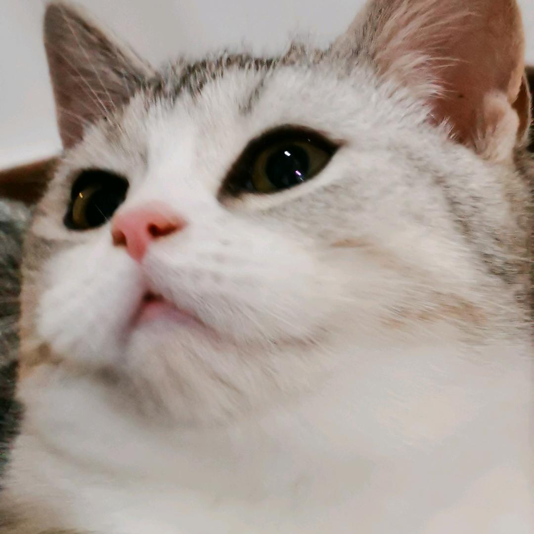 踽踽独行