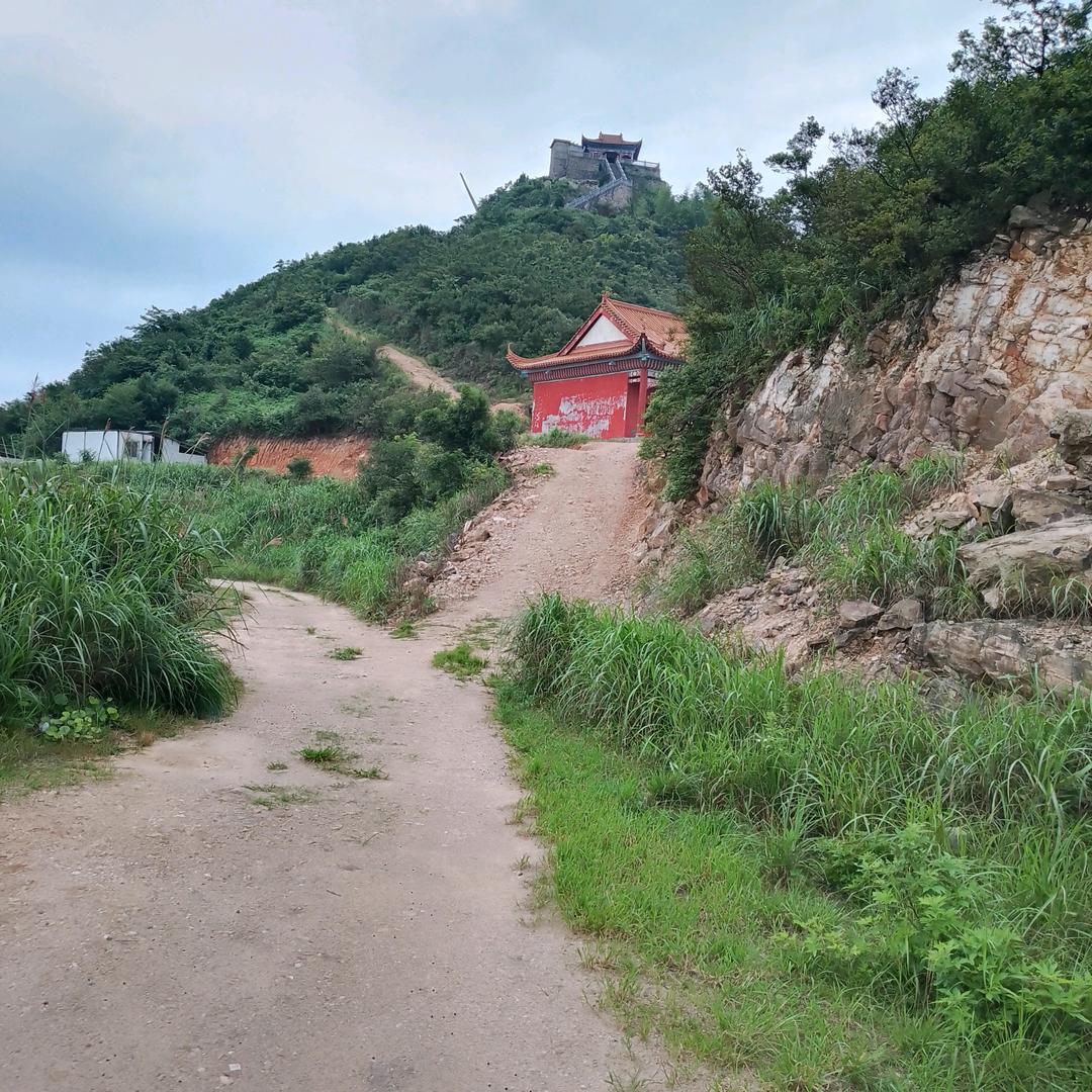新光
