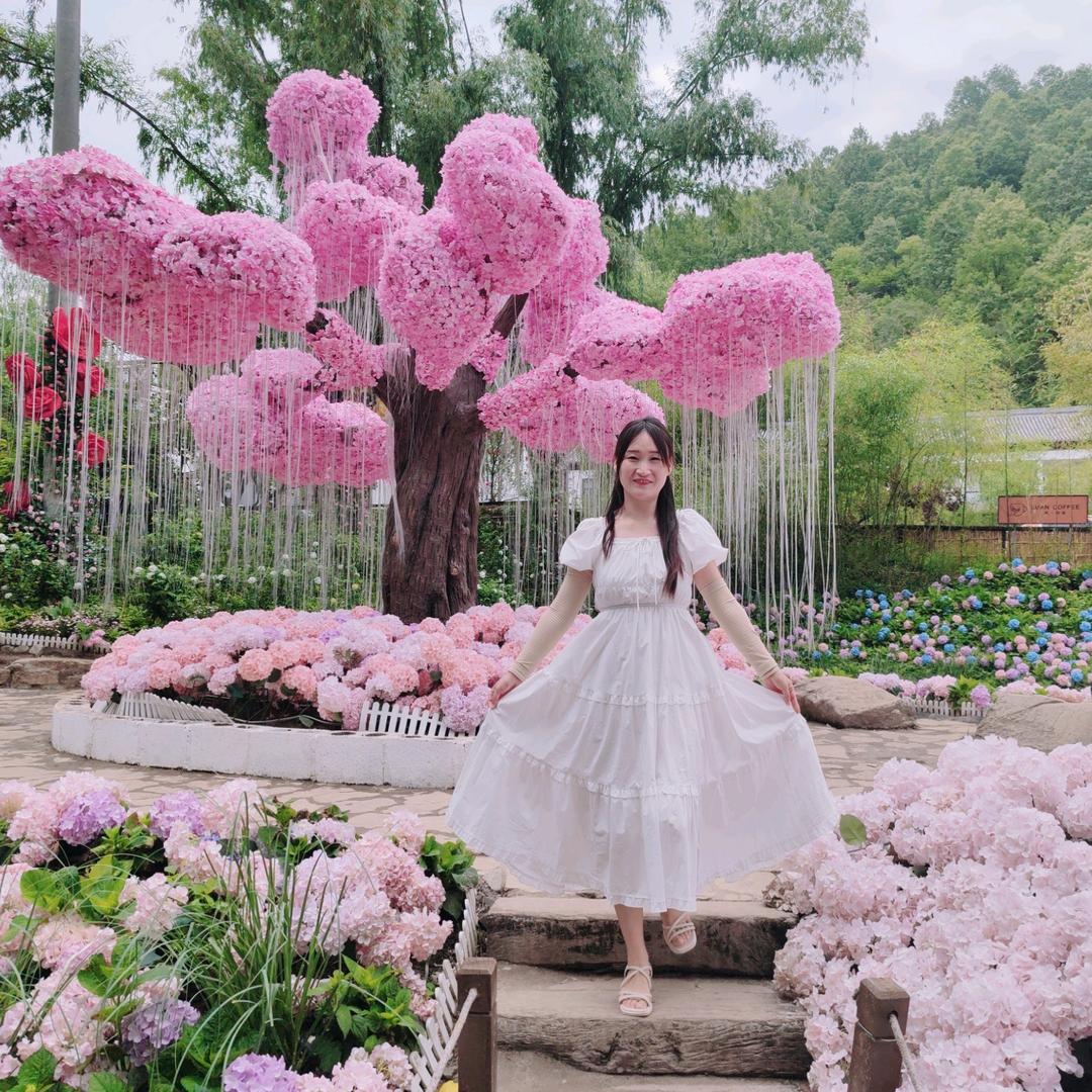 加加盼盼婚礼洛阳花海阁文化传媒有限公司