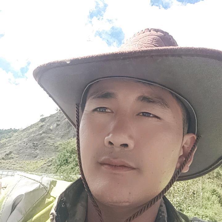 阿白春