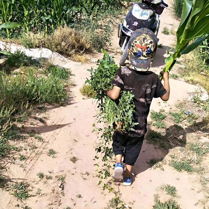 心🍃晴