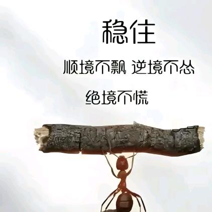 人生如戏、全凭演技