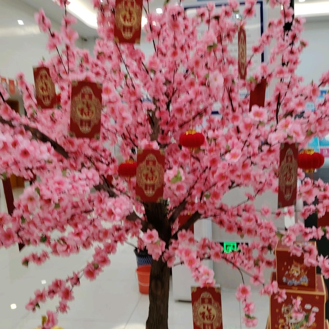 妞姐