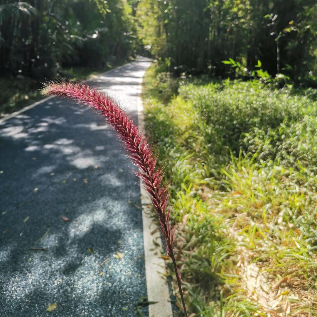 这个桂林人叫小帅，他会用CBN砥石磨厨刀