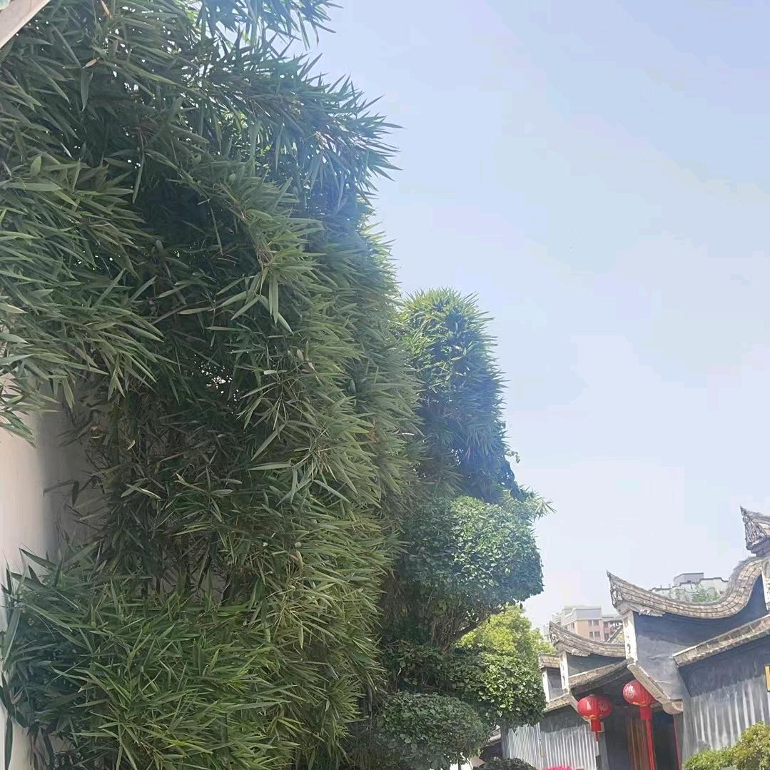 寻找我的快乐