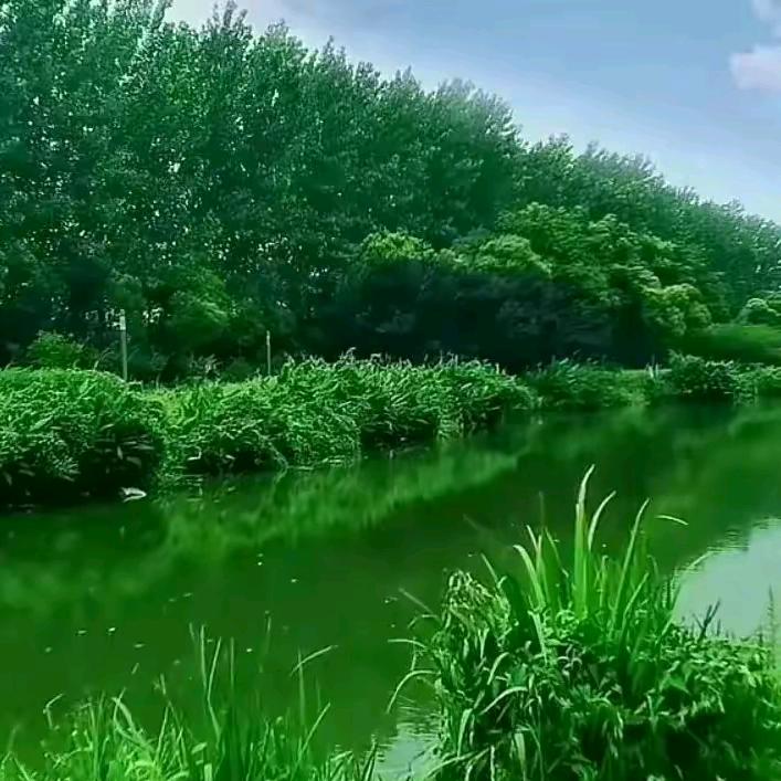 用户9496528466737