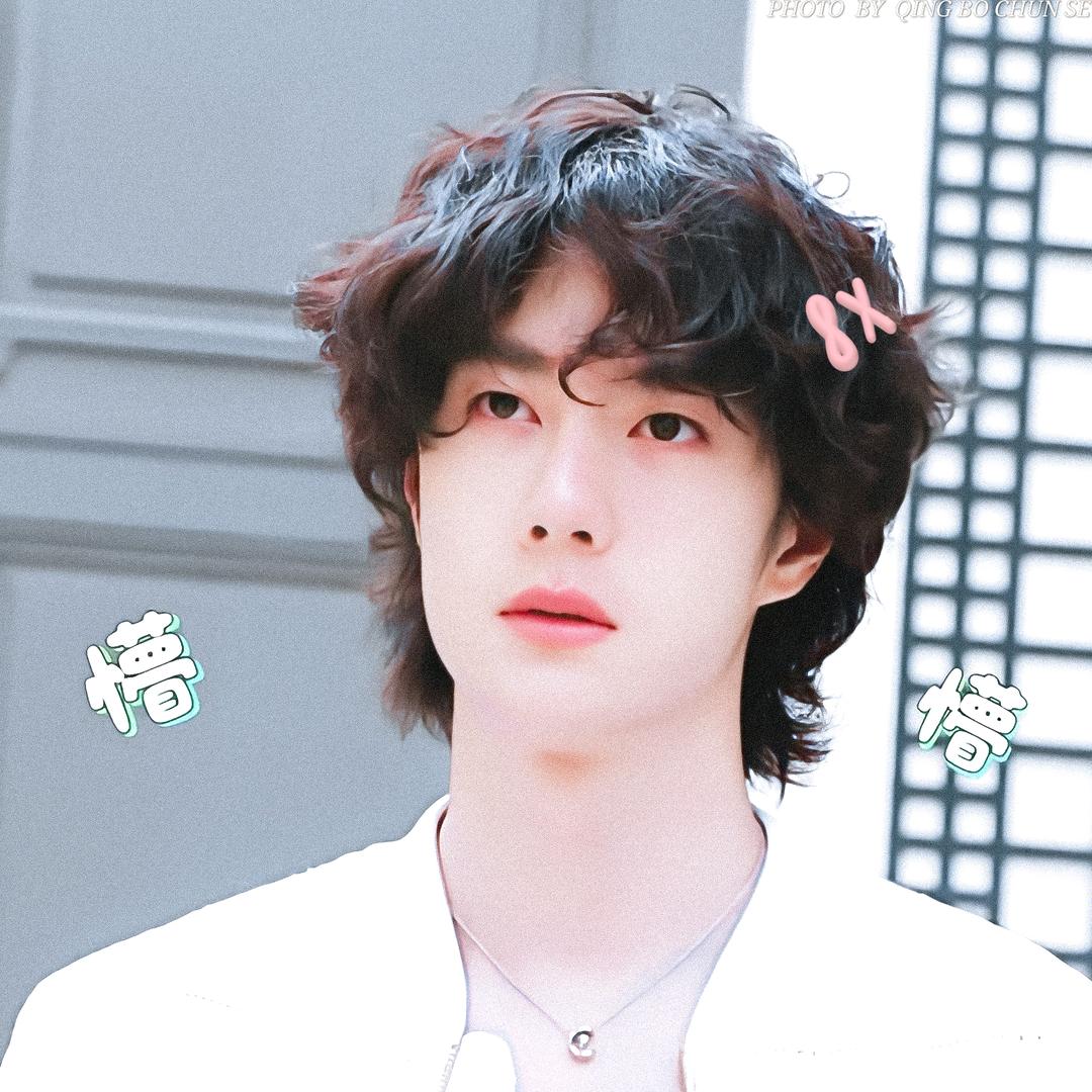 啵乐灵犀🦁❤️
