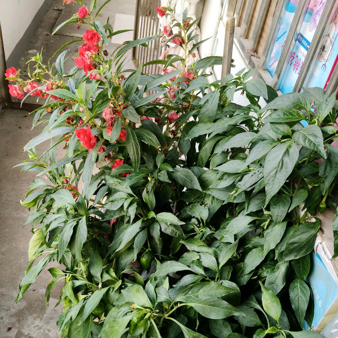心灵的驿站