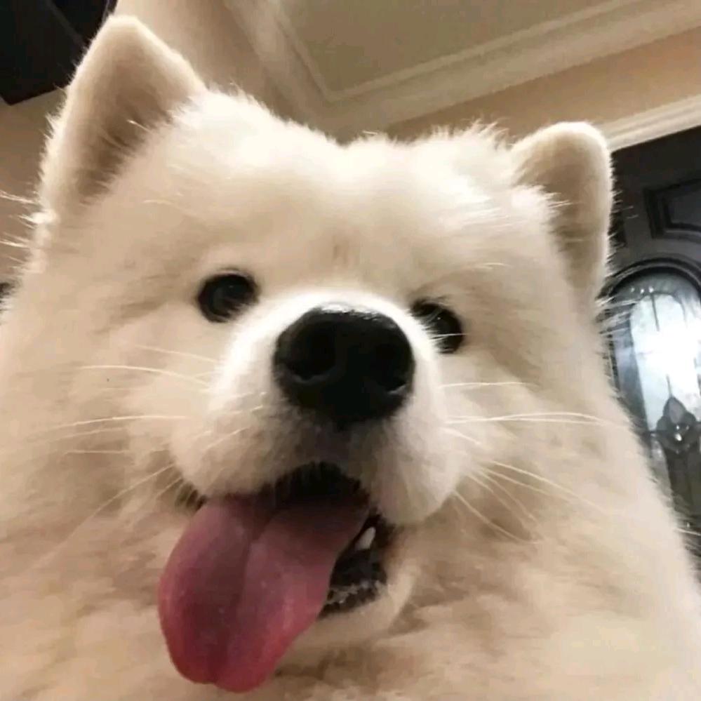 你那么爱逃