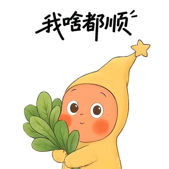 驾校 庄教练