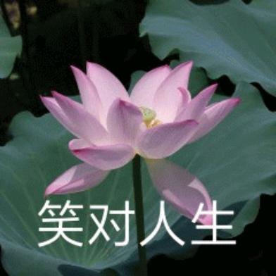 小葵
