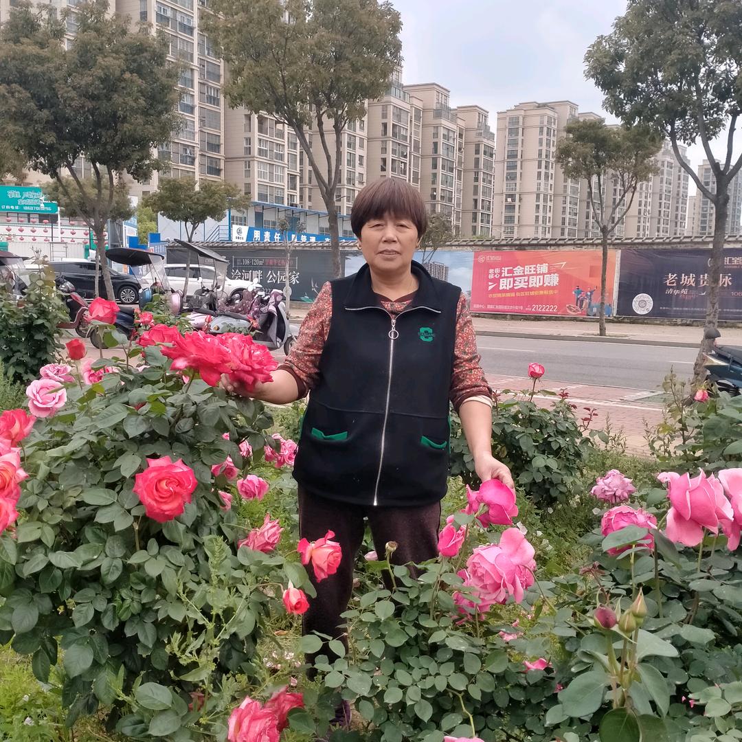 朱永红
