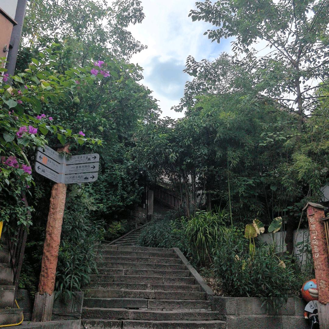 🧑‍🌾鑫鑫全旺