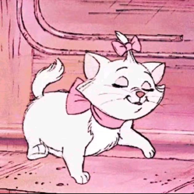 安琪儿🐱