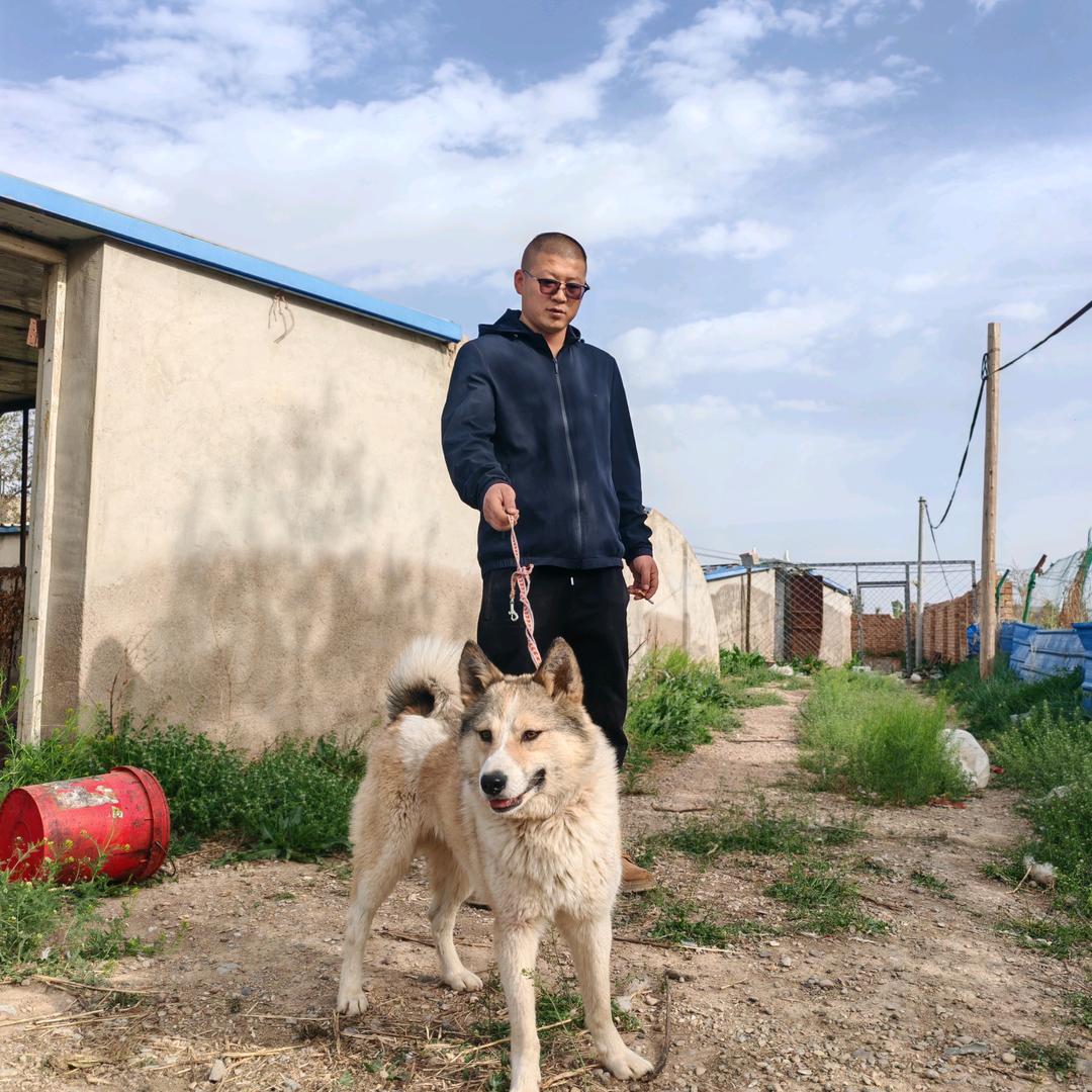 西北狼牙公益护农（小号）