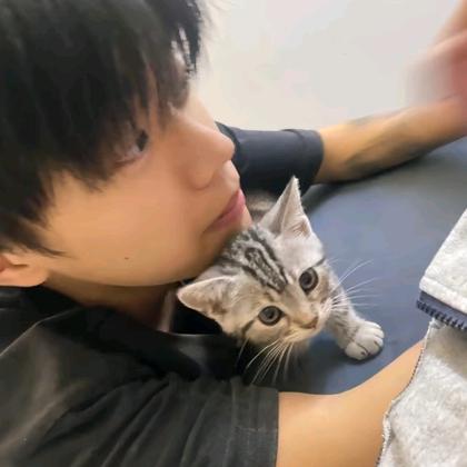 虚伱