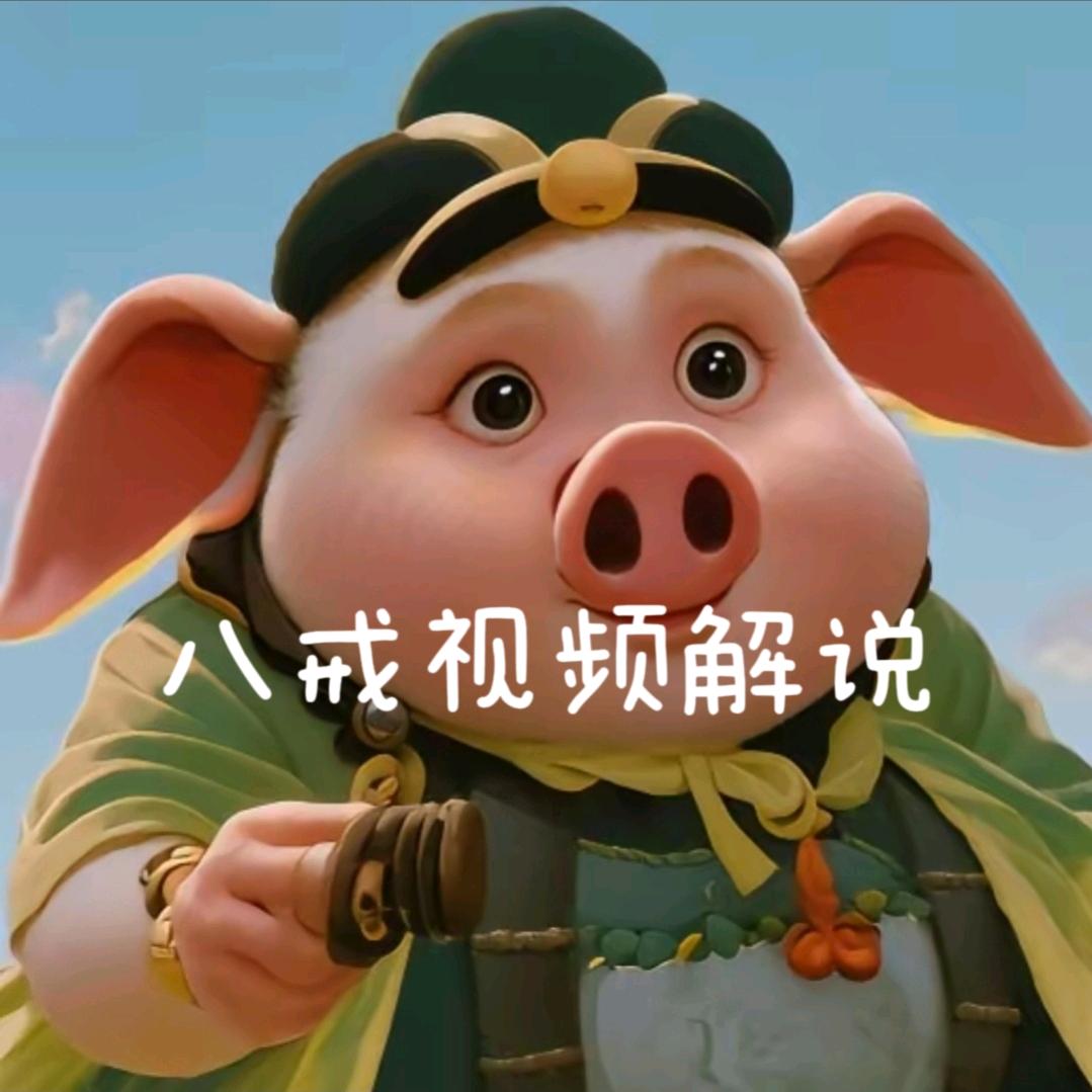 八戒视频解说