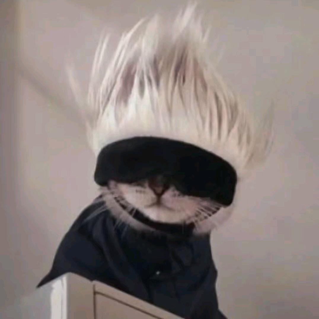 南波兔