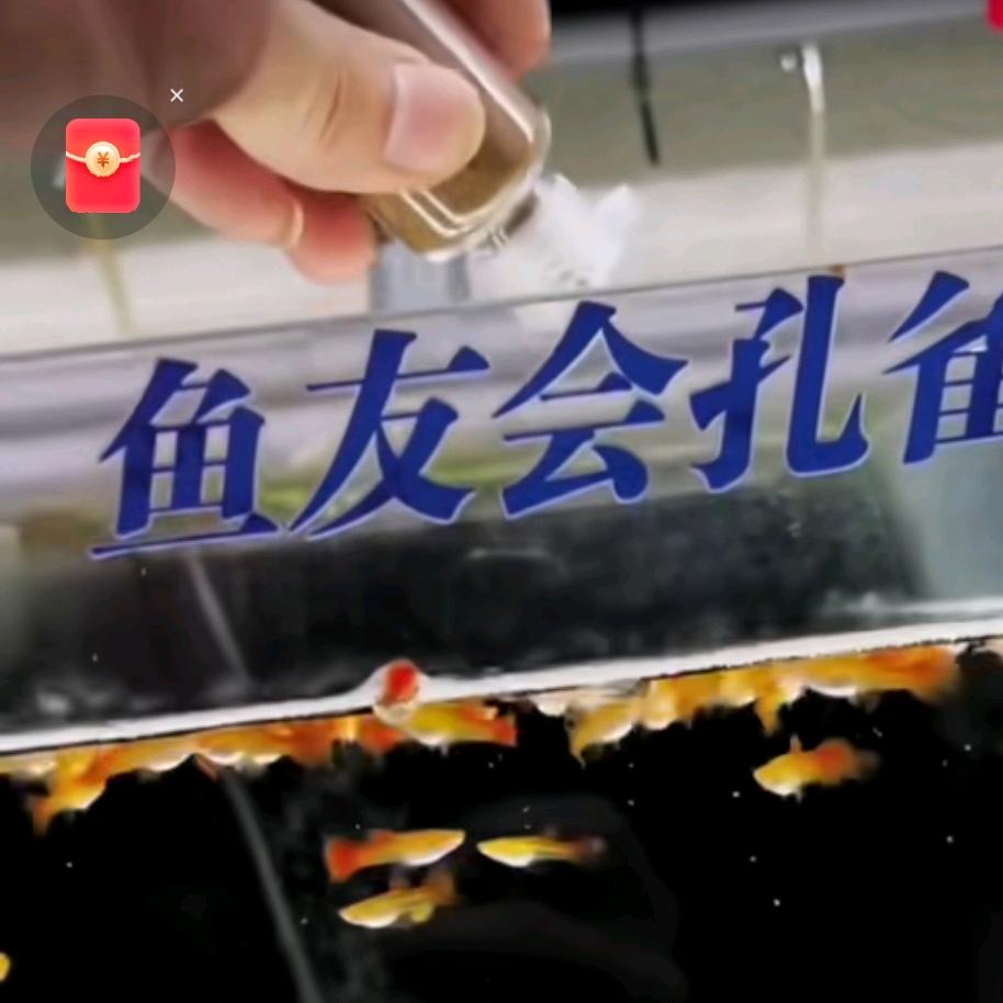 花云朵