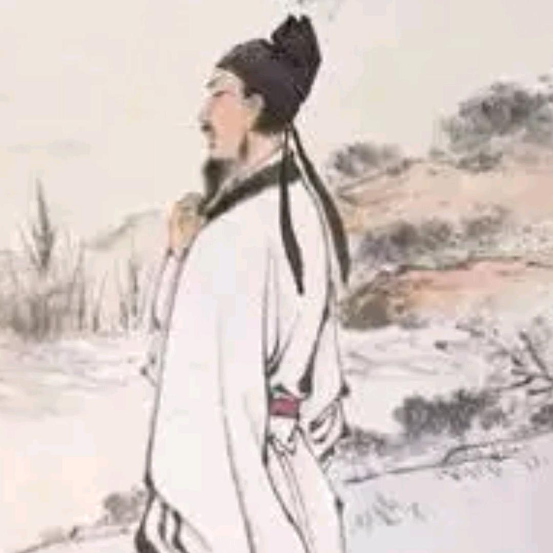 寻宝记
