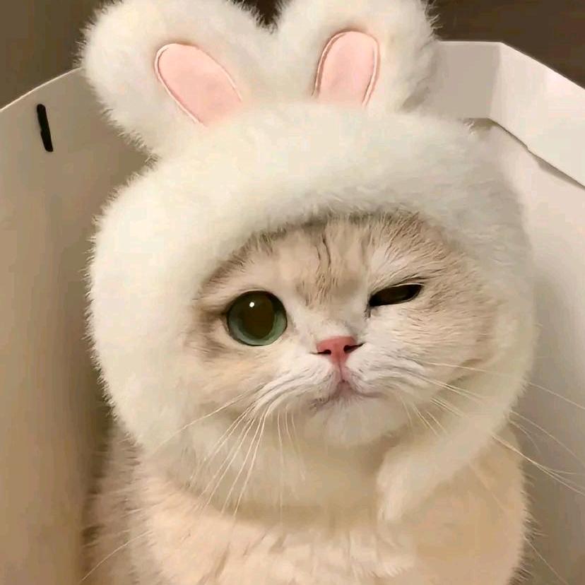 小虎牙贝贝
