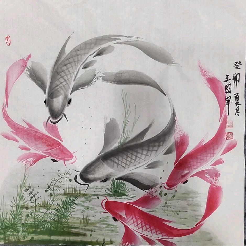 青州《鱼 哥》