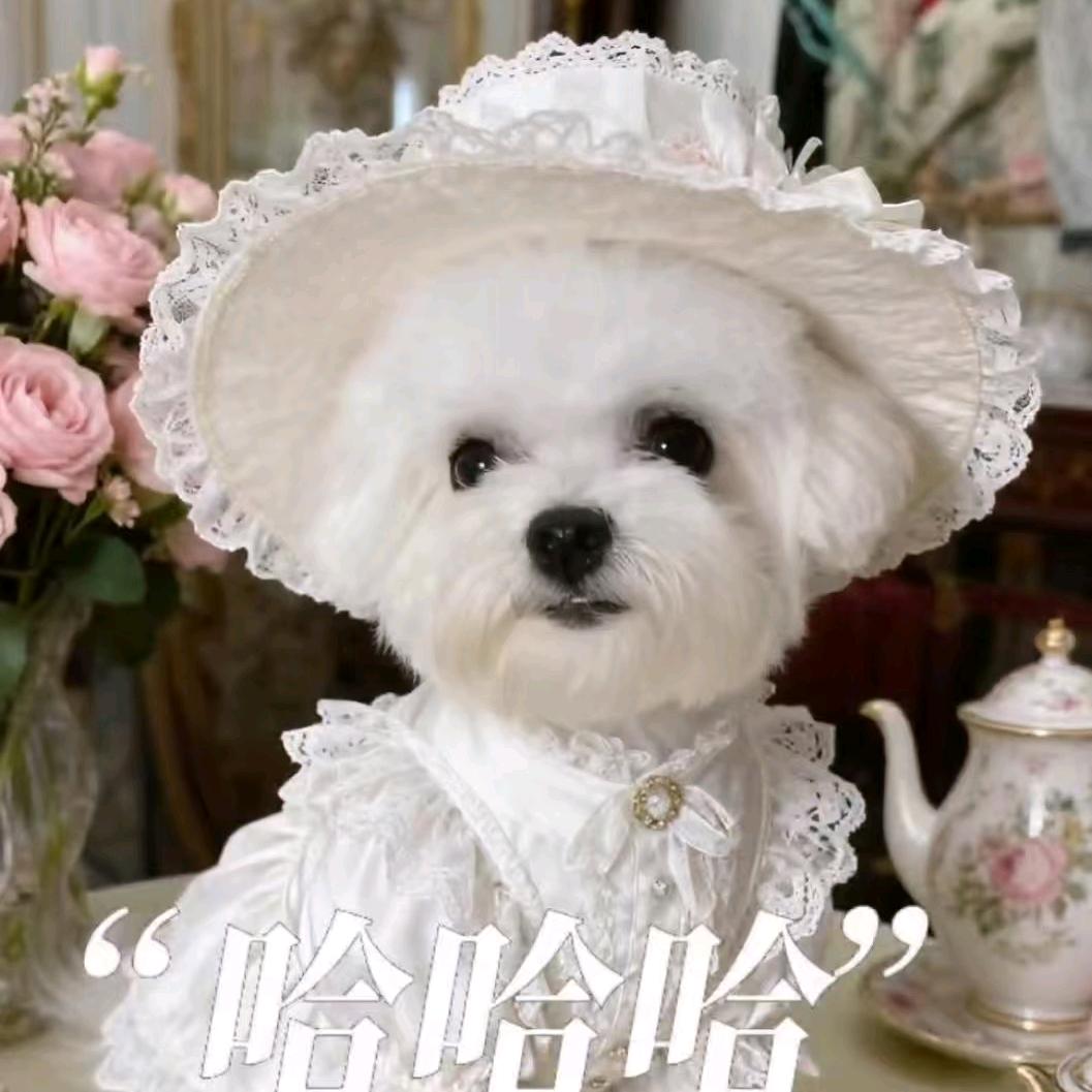 巾帼不让须梅