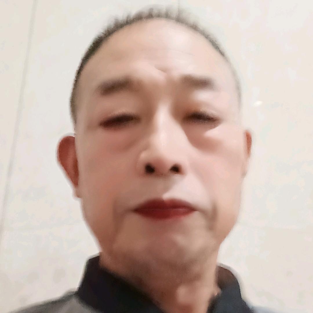 鹘鹰