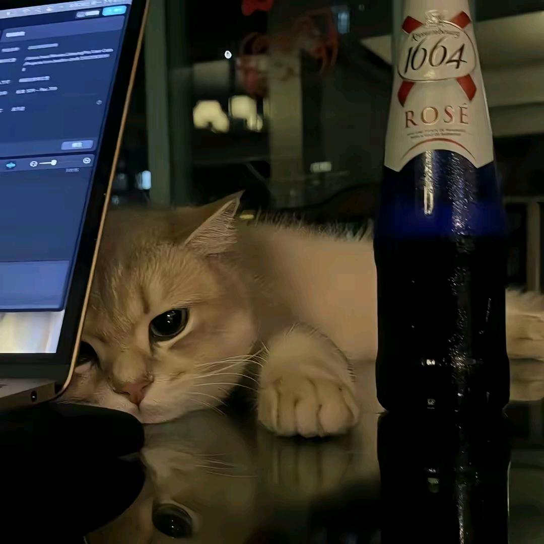 11y