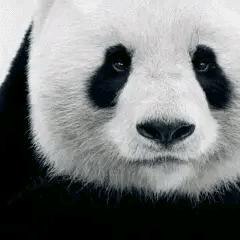 走出死海