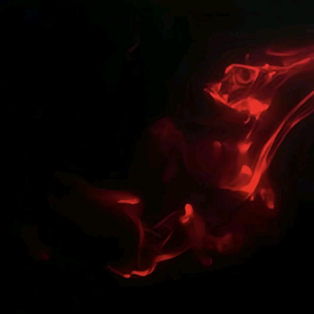 秦彻
