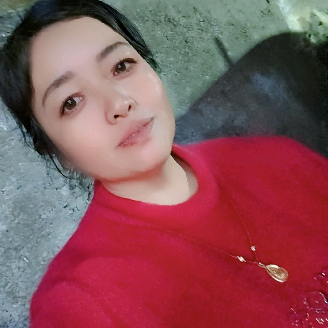 贵州金凤
