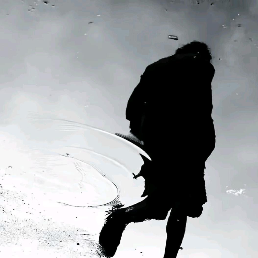 让风代替我