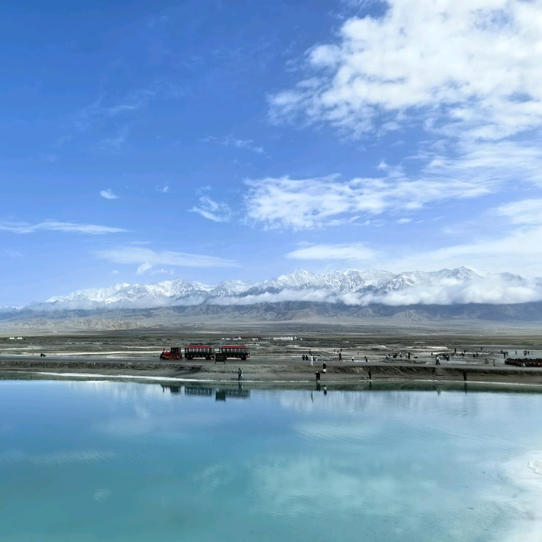 大野驴