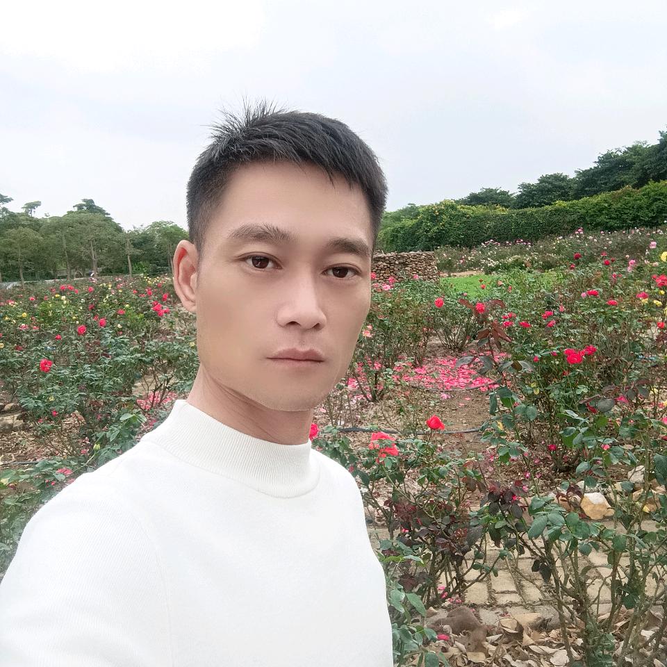 十一